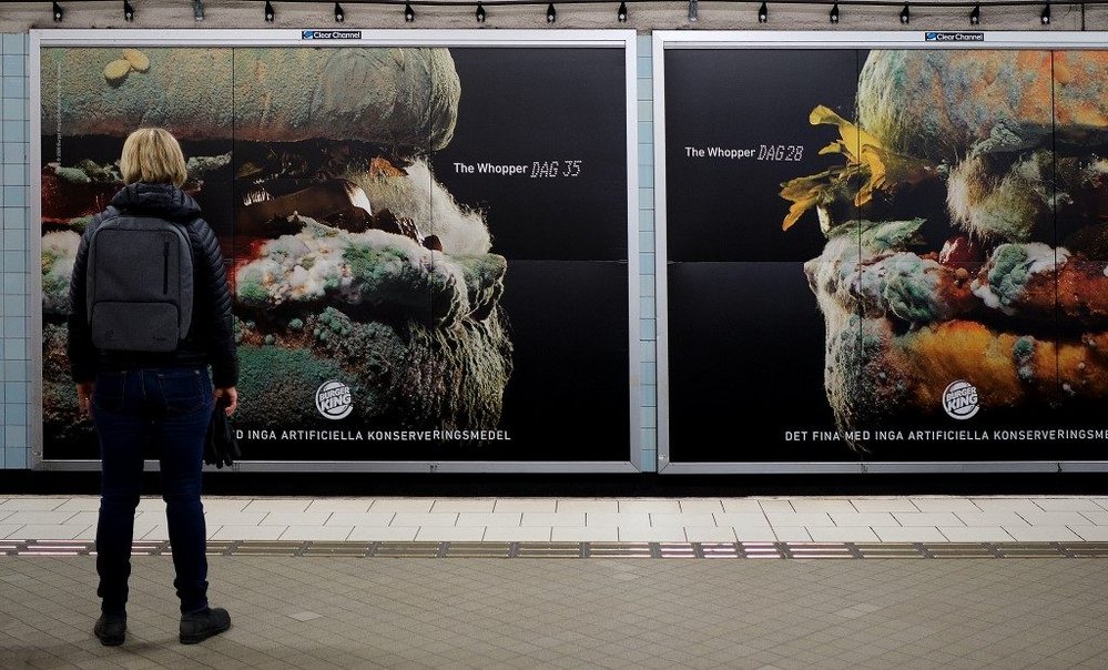 Body image for Burger King and the method behind the Moldy Whopper madness