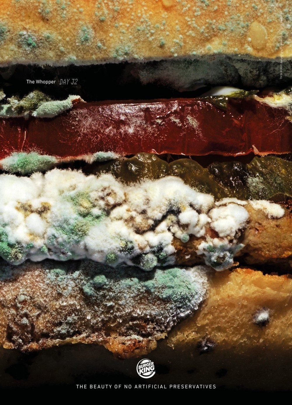 Body image for Burger King and the method behind the Moldy Whopper madness