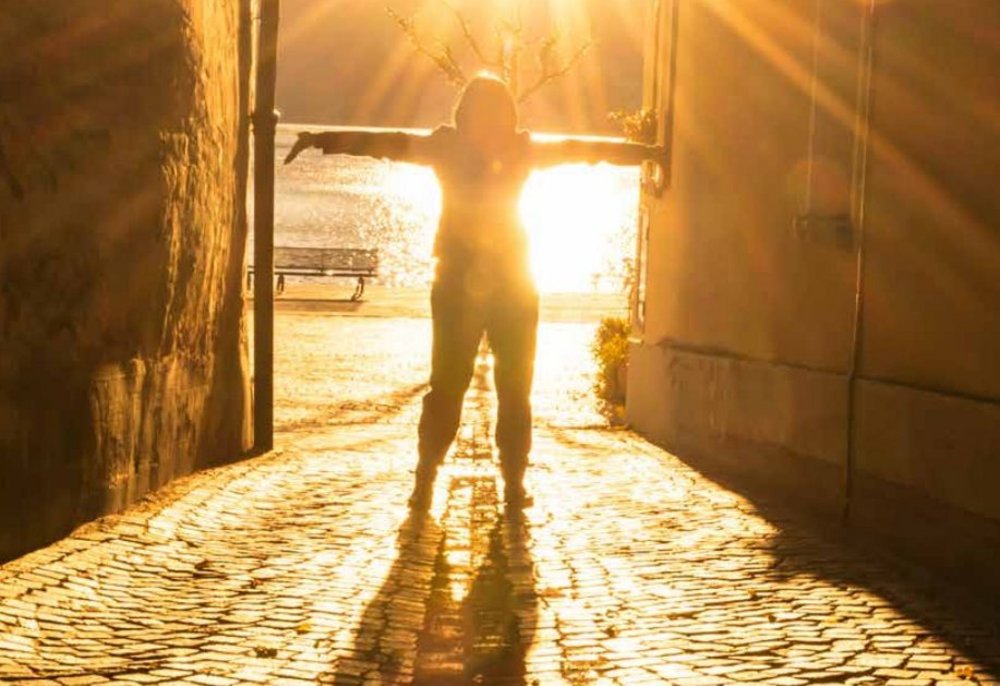 Body image for Strategist’s Digest: November 2019