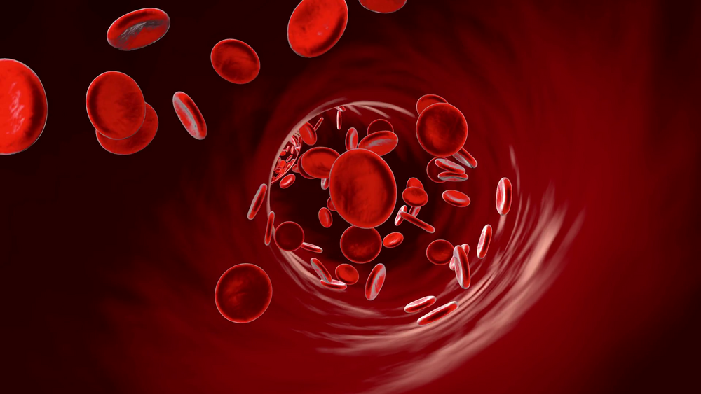 Bloodcells