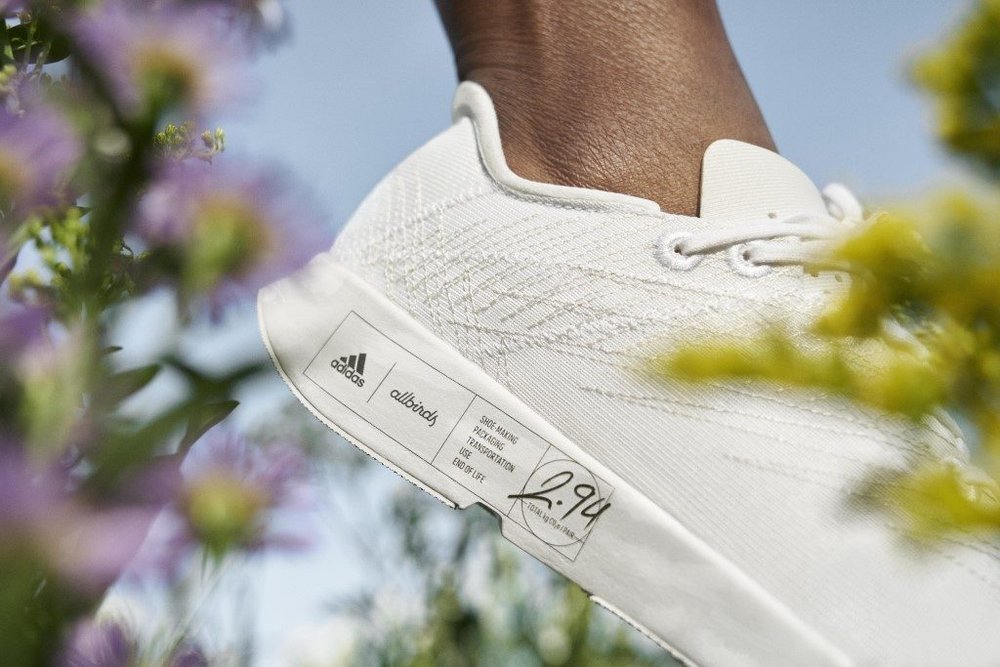 Body image for Adidas and Allbirds combine to create sustainable sneaker