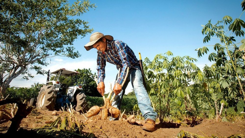 Body image for Colombian brewer taps local farmers to create sell-out beer