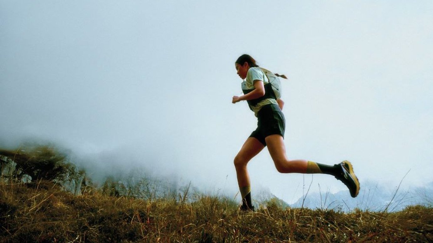 Header image for article Scott Mellin on long-term growth 