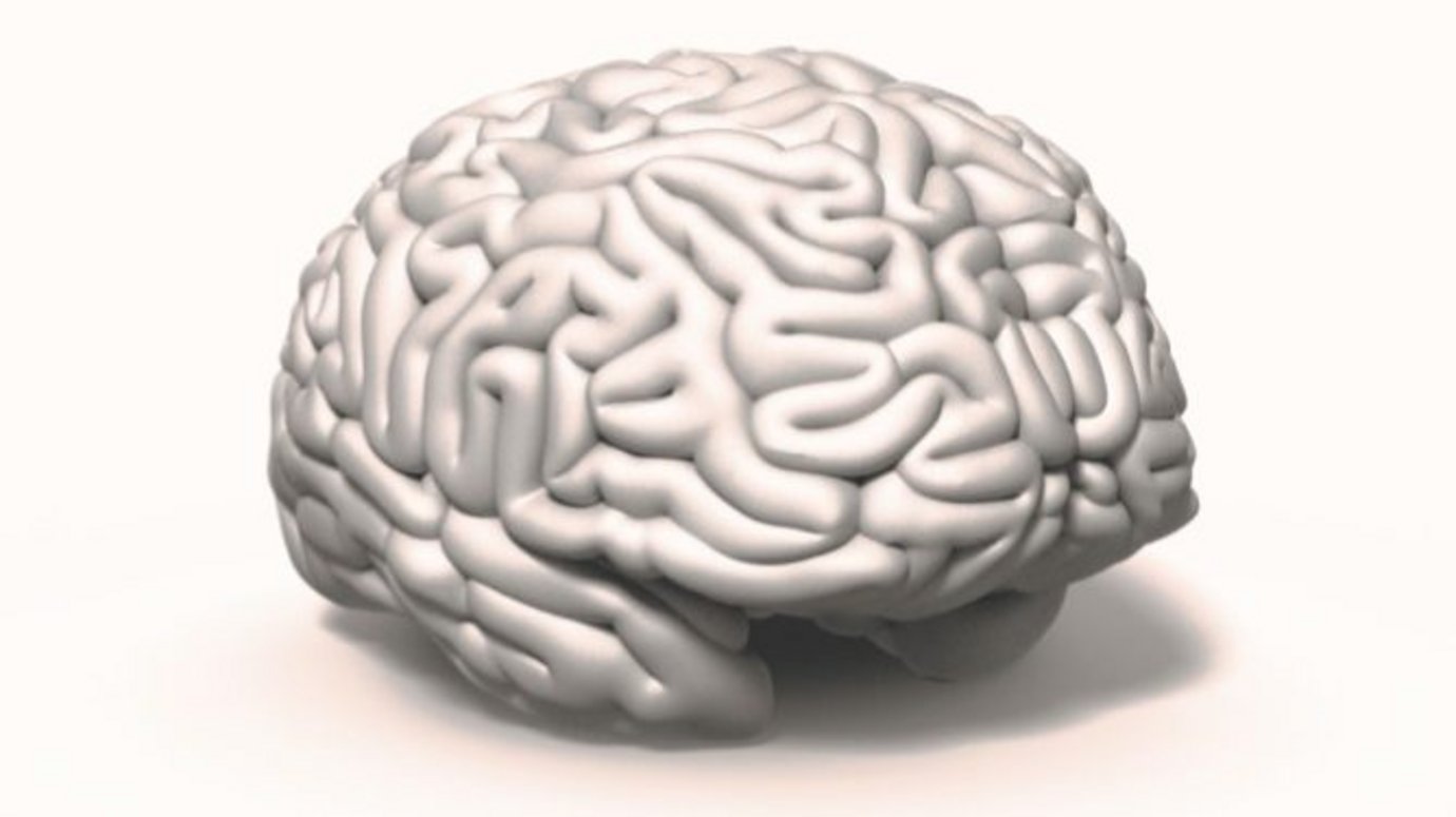 Header image for article Why left-brain thinking is killing advertising effectiveness