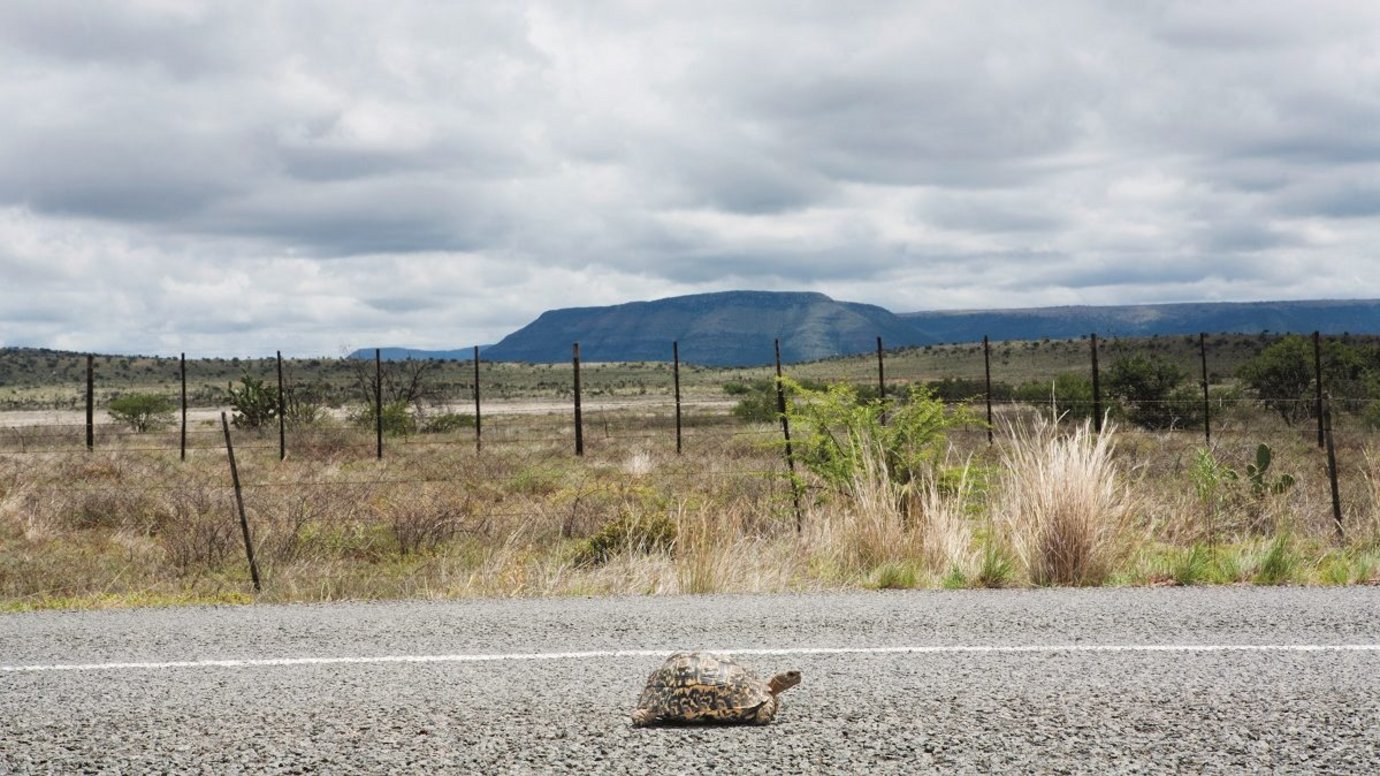 Header image for article Why a speed addiction is bad for creative agencies