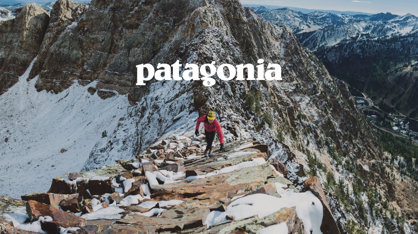 Header image for article Patagonia the stalking horse