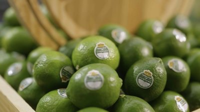 Corona Extra Limes