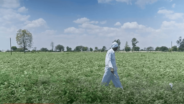 Lay’s Smart Farm 