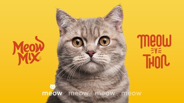 Meow Mix turns its jingle into a 12-Hour endurance test