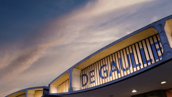 Insight & Strategy: Anne de Gaulle