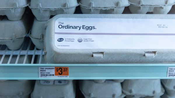 The Ordinary Dozen